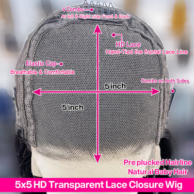 5×5 Lace Closure Wig Curly Human Hair Wig High Density Wigs